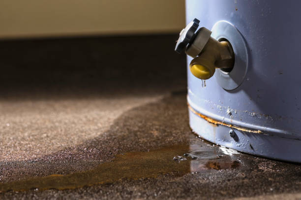 Best Flood damage cleanup  in Palmyra, WI