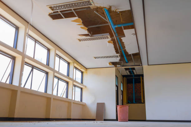  Palmyra, WI Water damage restoration Pros