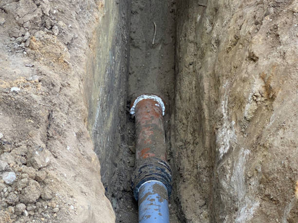 Best Professional water damage repair  in Palmyra, WI