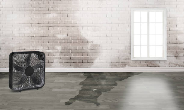 Trusted WI Water damage restoration Experts