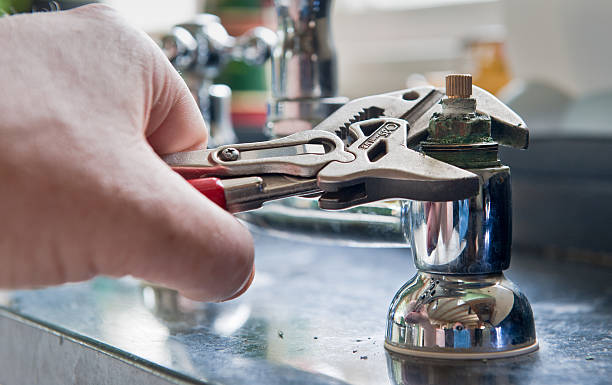 Best Water damage restoration cost  in Palmyra, WI