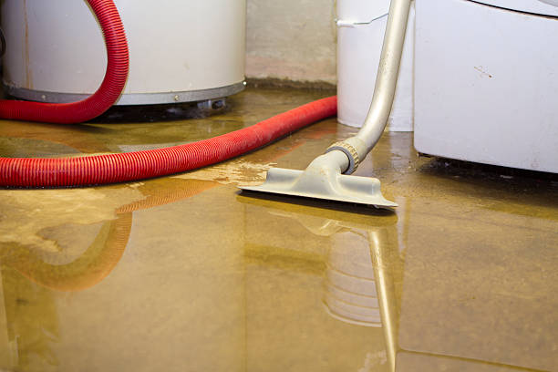 Best Basement water damage restoration  in Palmyra, WI