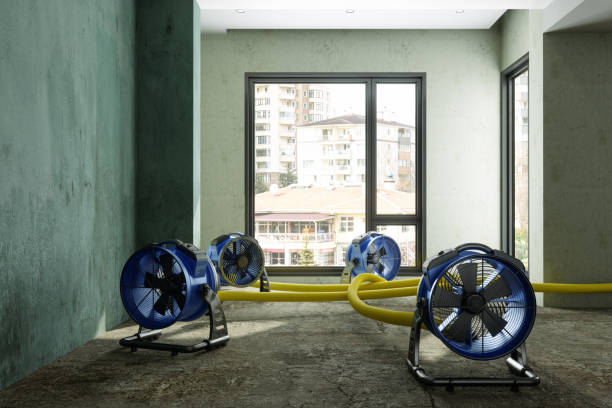 Best Water damage restoration near me  in Palmyra, WI