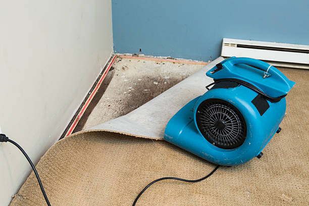 Best Flood damage cleanup  in Palmyra, WI