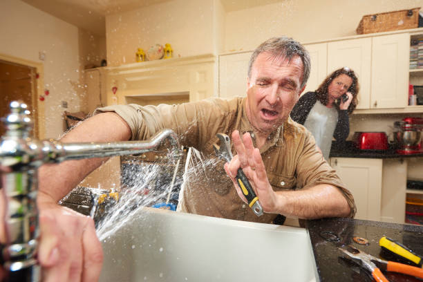 Best Flood restoration services  in Palmyra, WI